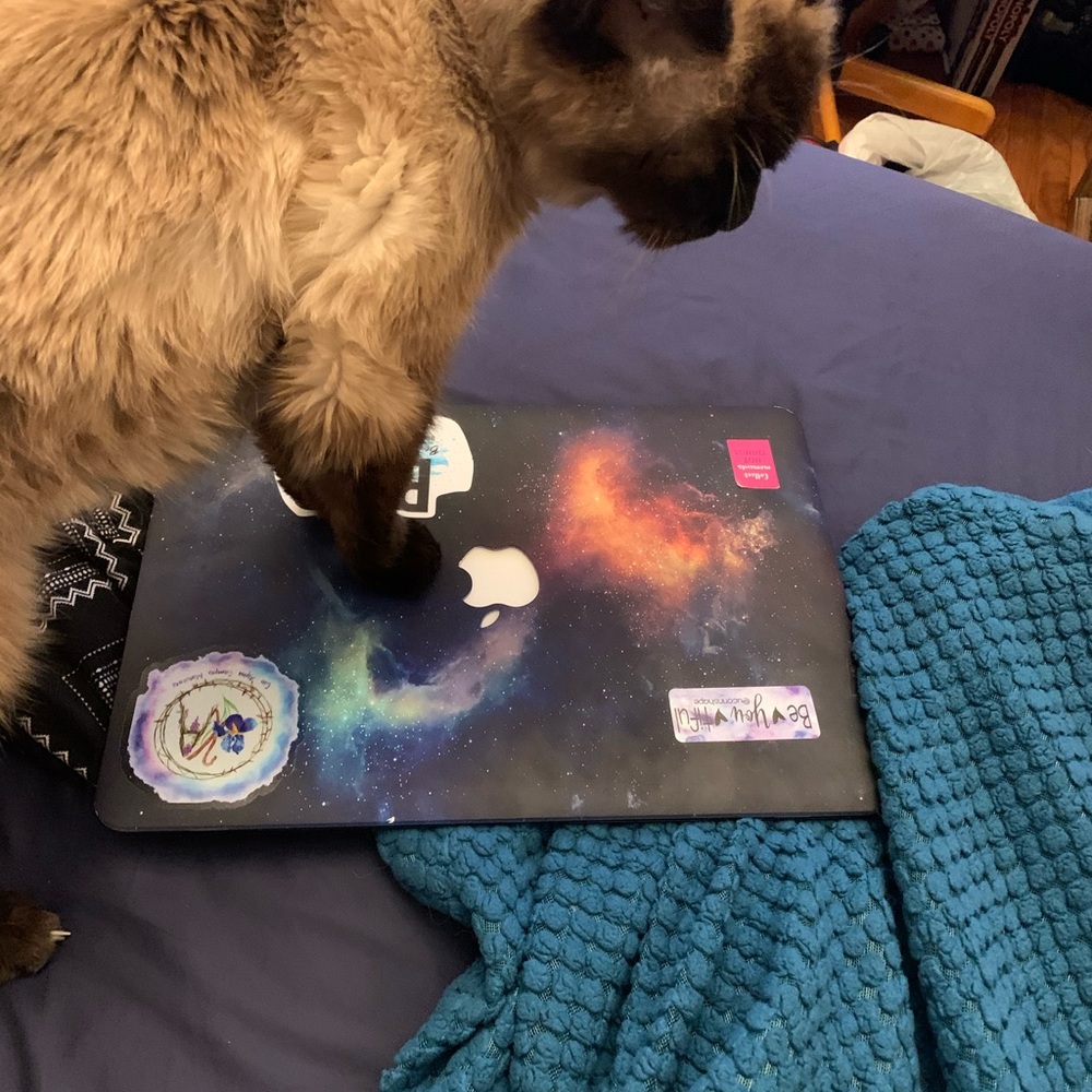 Meet your Posher, CC